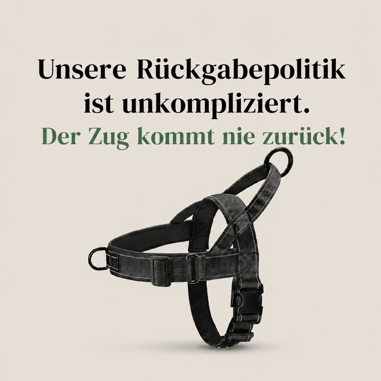 Harnais anti-traction pour chiens
