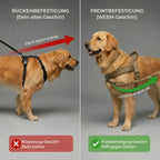 Harnais anti-traction pour chiens