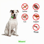 Weem™ Flåttbeskyttelse