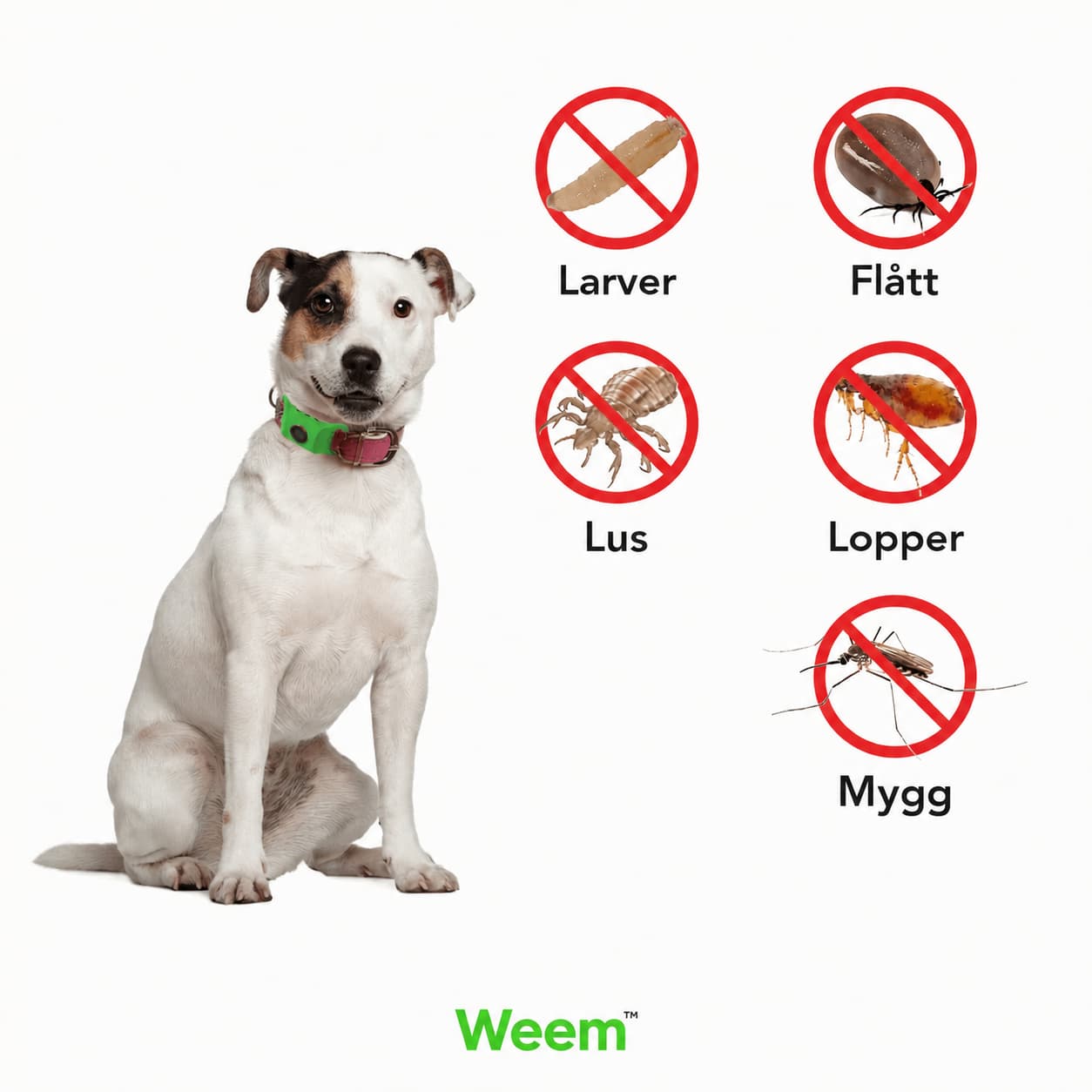 Weem™ Flåttbeskyttelse