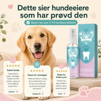 Tannpleiespray til hund