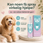Tannpleiespray til hund