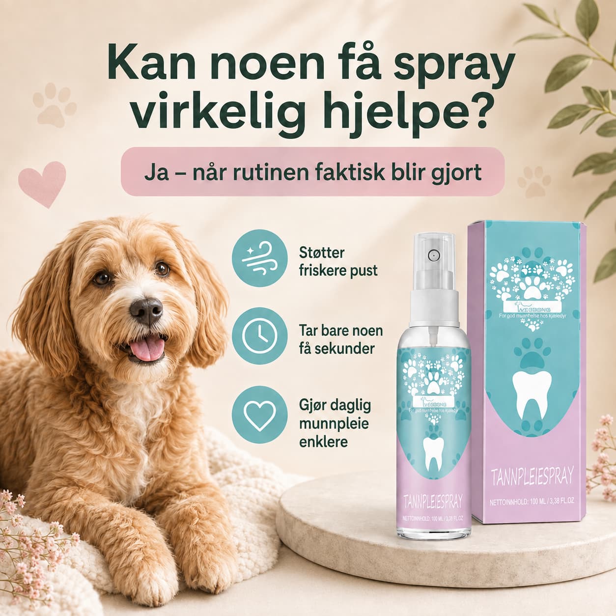 Tannpleiespray til hund