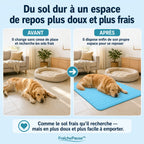 FraîchePause™ – Tapis rafraîchissant pour chien (1+1)