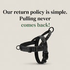 WEEM – Front-Clip Harness