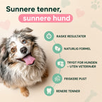 Tannpleiespray til hund