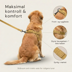 Antitrekksele til Hund