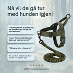 Antitrekksele til Hund