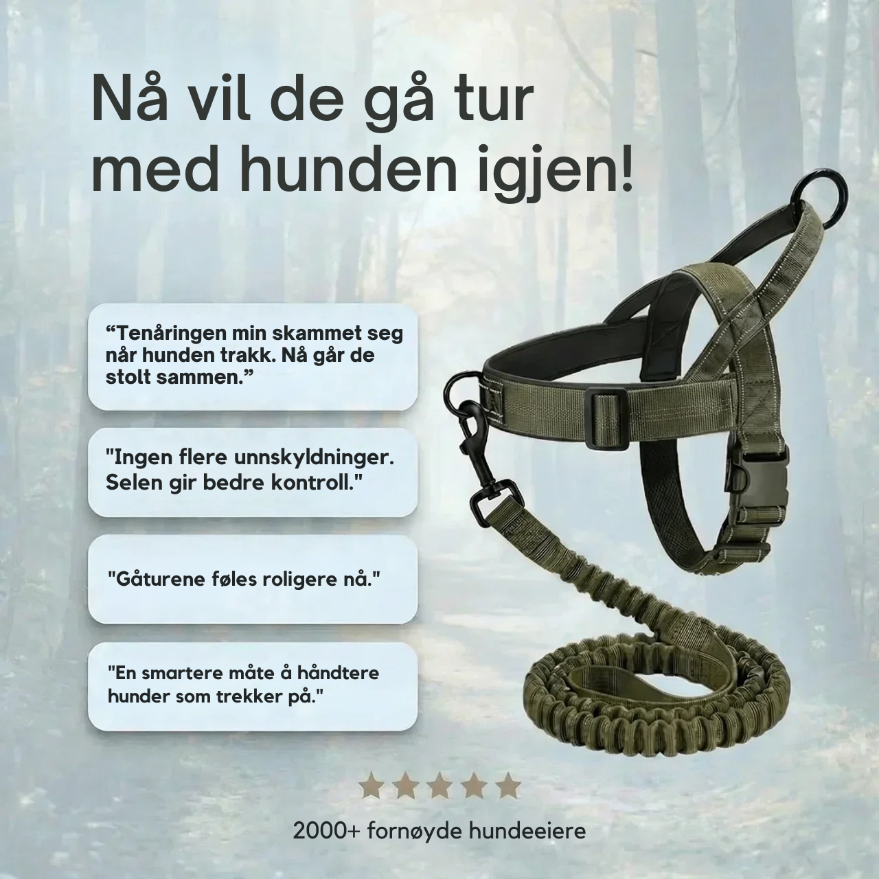 Antitrekksele til Hund