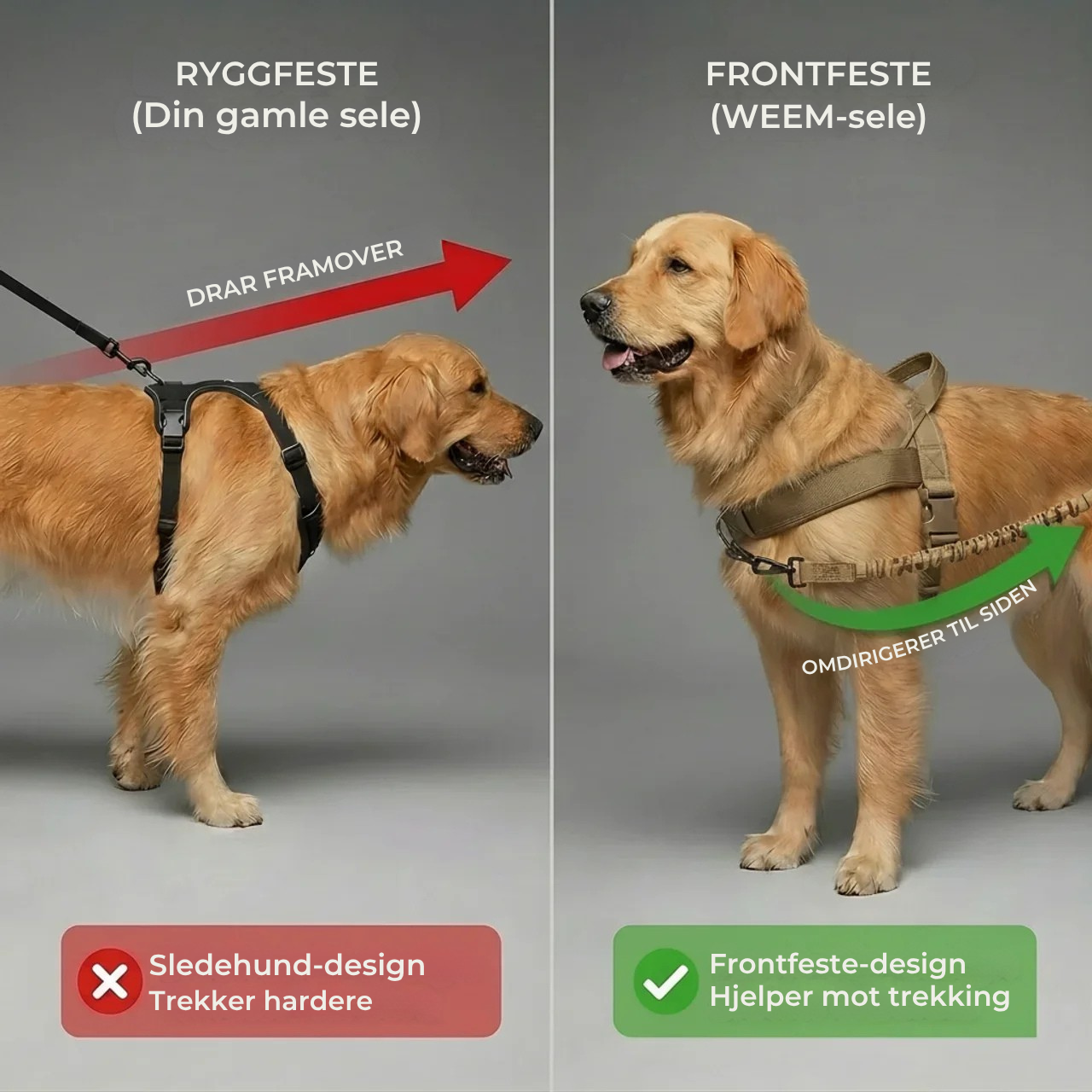 Antitrekksele til Hund