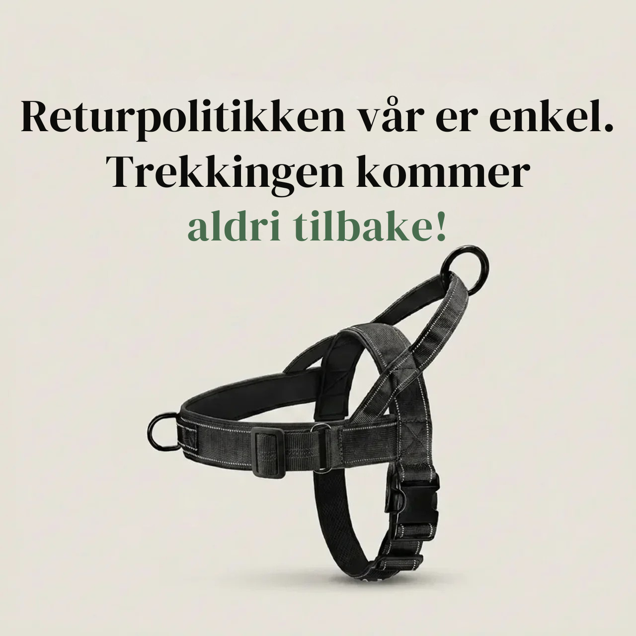 Antitrekksele til Hund