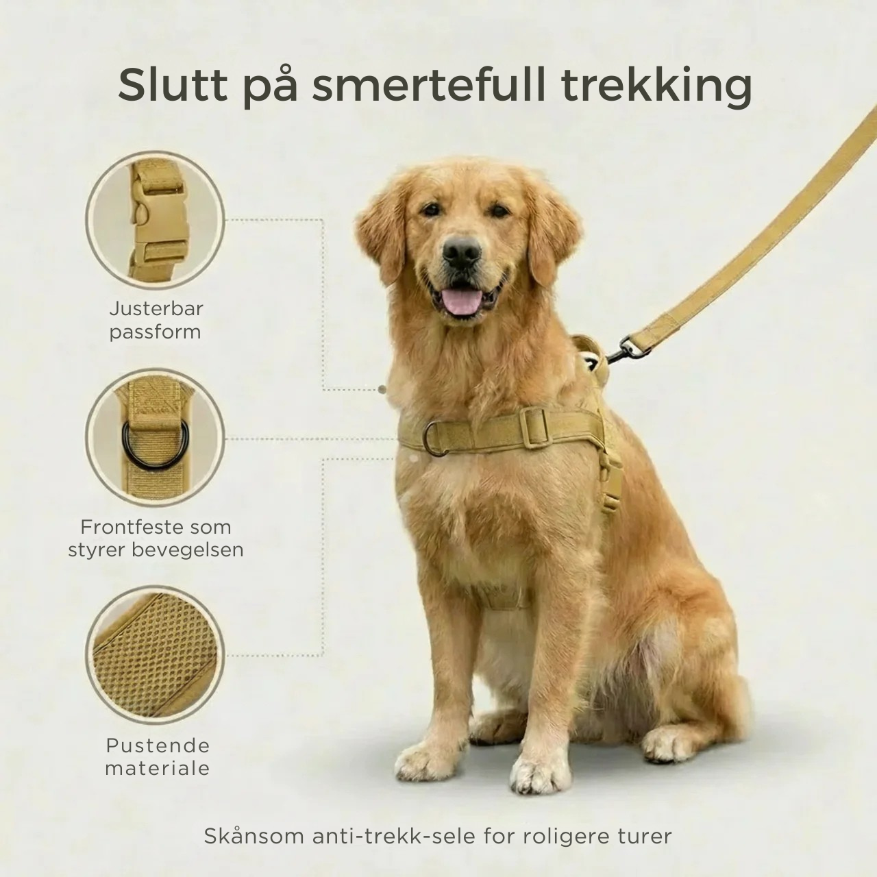 Antitrekksele til Hund