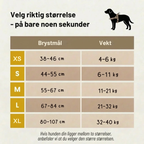 Antitrekksele til Hund