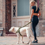 Antitrekksele til Hund