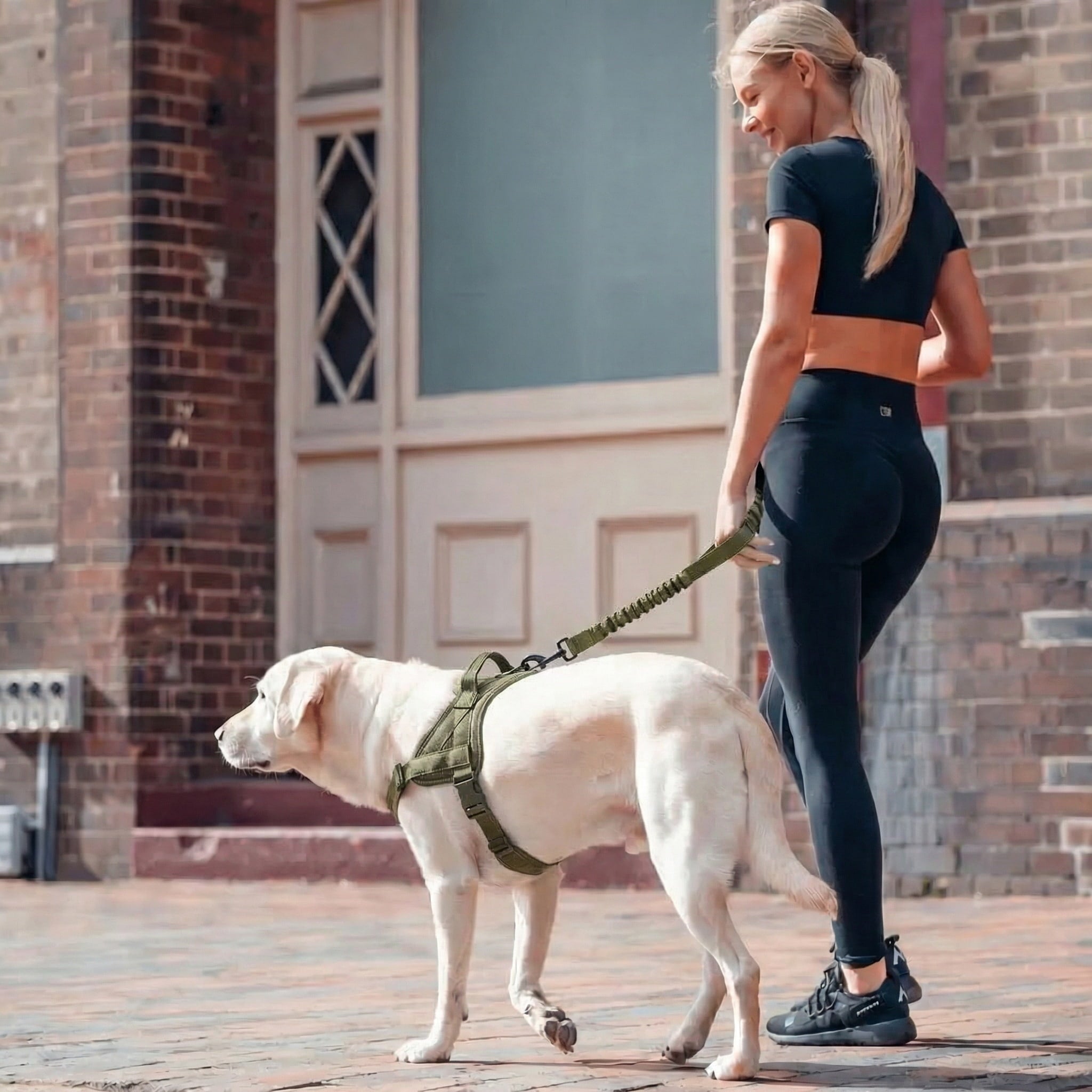 Antitrekksele til Hund