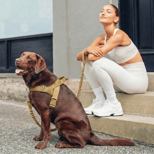 Anti-Drag Hundsele
