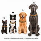 Antitræksele til hund