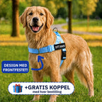 Antitrekksele til hund