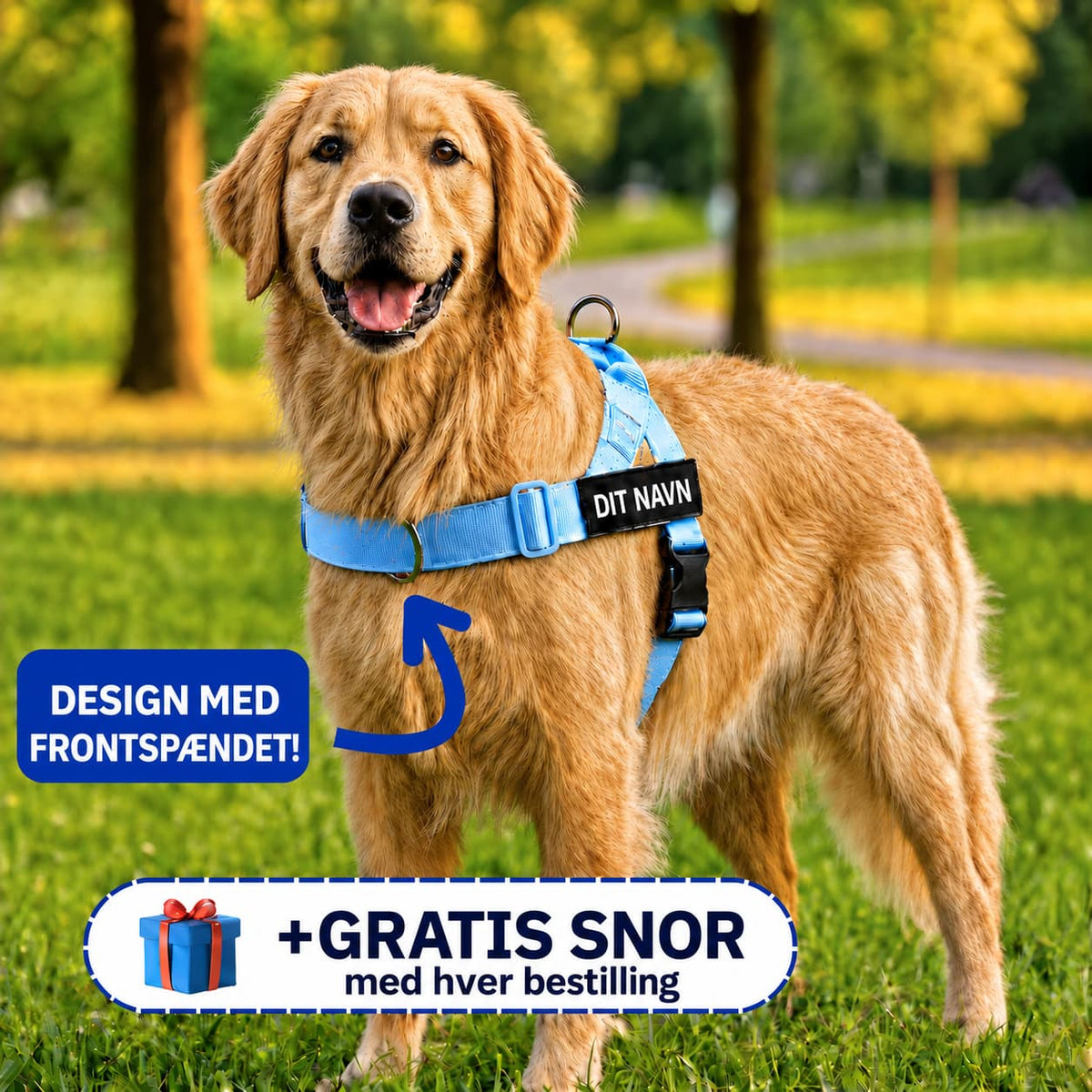 Antitræksele til hund