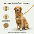 Antitræksele til hund