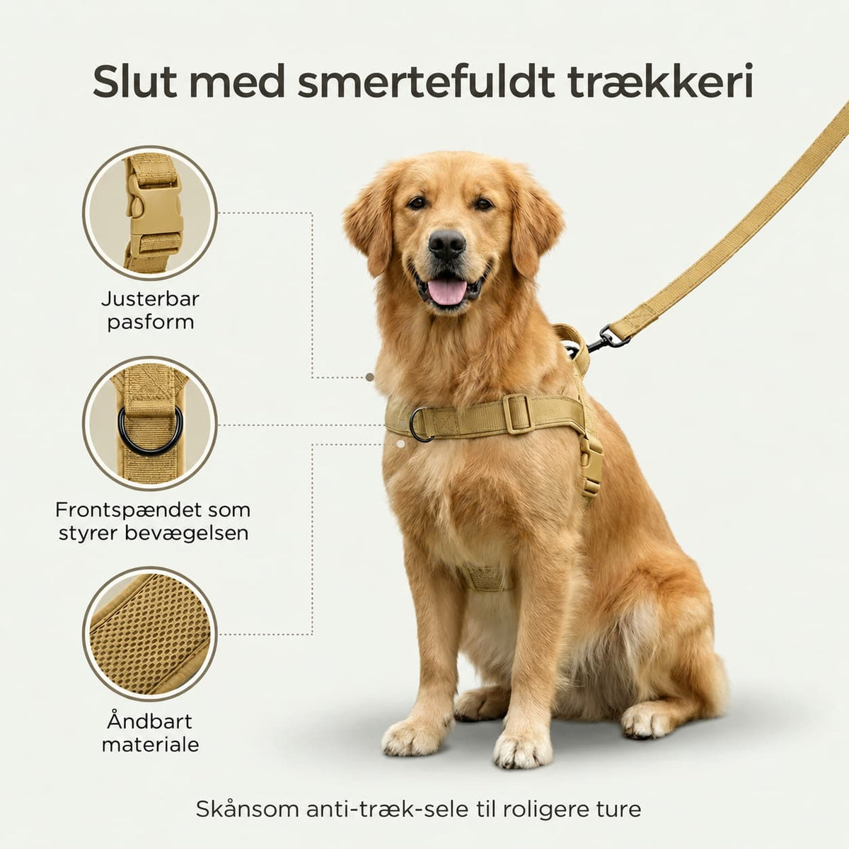 Antitræksele til hund