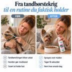 DentaClean- Tandplejespray til hund