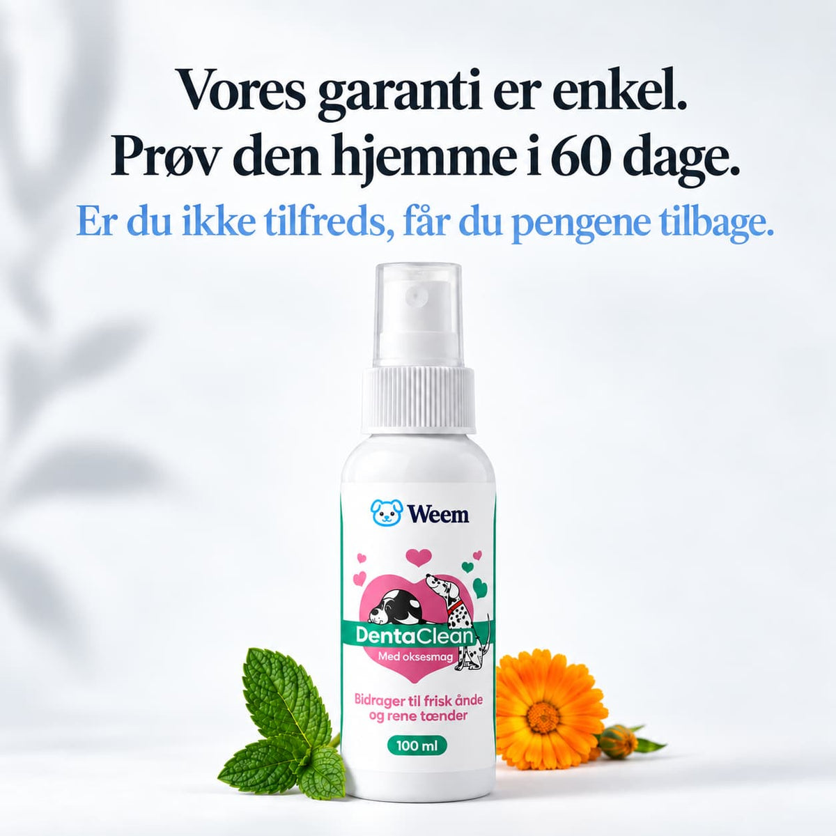 DentaClean- Tandplejespray til hund