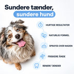 DentaClean- Tandplejespray til hund