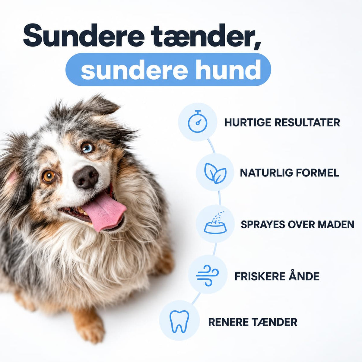 DentaClean – Tandplejespray til hund