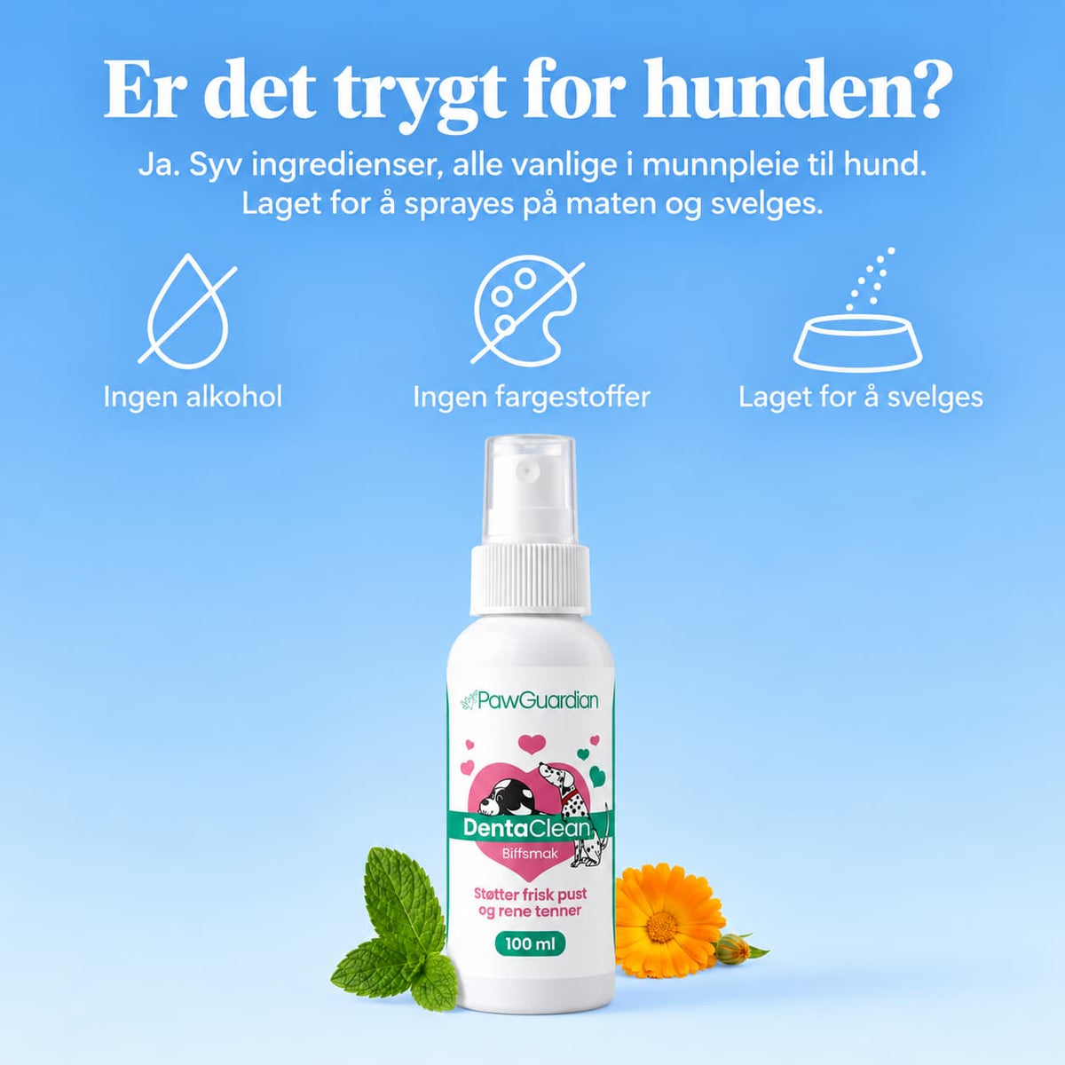 DentaClean- Tannpleiespray til hund