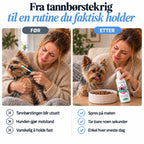 DentaClean- Tannpleiespray til hund