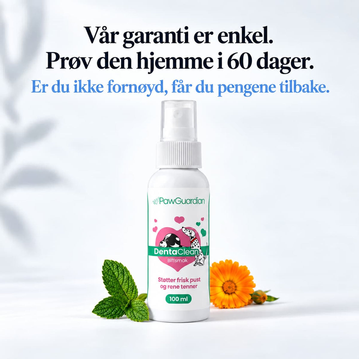 DentaClean- Tannpleiespray til hund