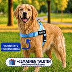 Vetämistä estävät koiran valjaat