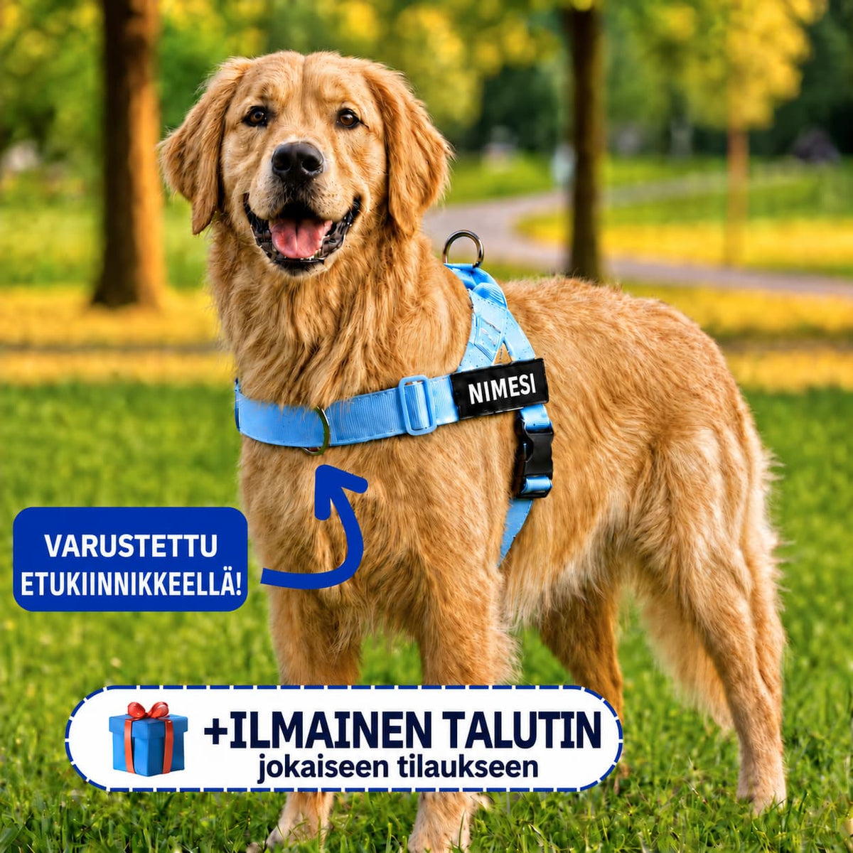Vetämistä estävät koiran valjaat