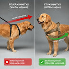 Vetämistä estävät koiran valjaat