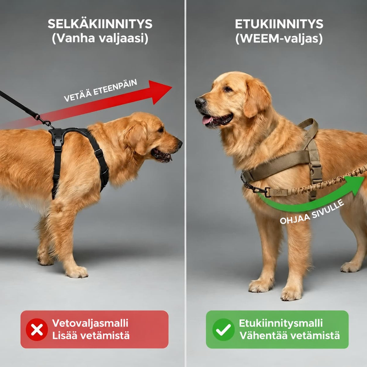 Vetämistä estävät koiran valjaat