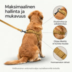 Vetämistä estävät koiran valjaat