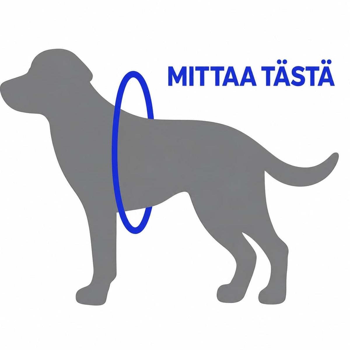 Måleguide