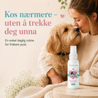 DentaClean – Kjøp 1, få 1 ekstra GRATIS (2 flasker)