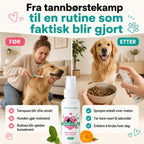 DentaClean – Kjøp 1, få 1 ekstra GRATIS (2 flasker)