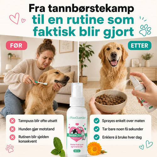 DentaClean – Osta 1, saat 1 kaupan päälle ILMAISEKSI (2 pulloa)