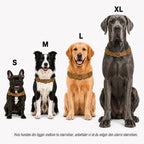 Antitrekksele til hund