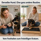 KloLeken™ – pour un soin des griffes plus simple