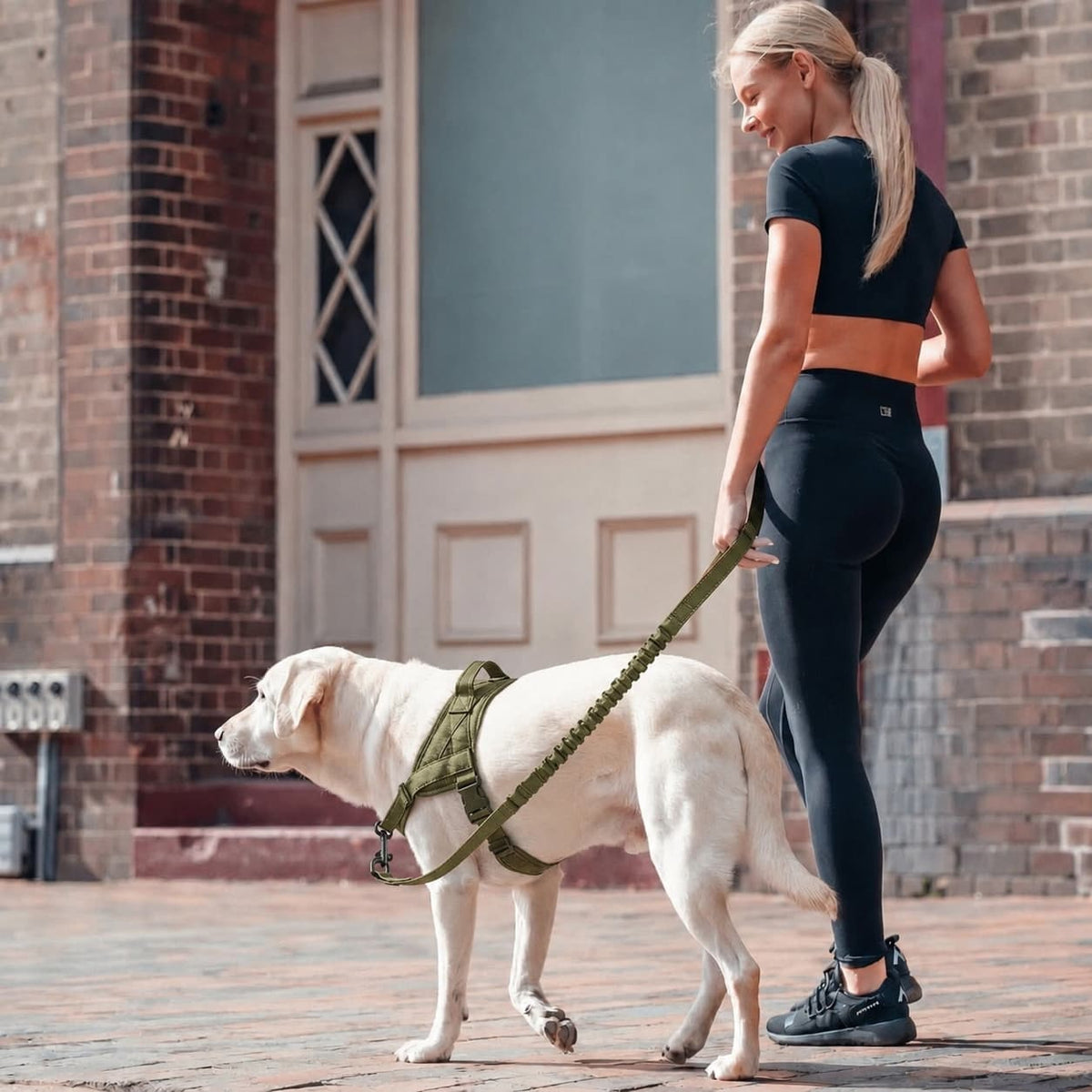 Antitræksele til hund