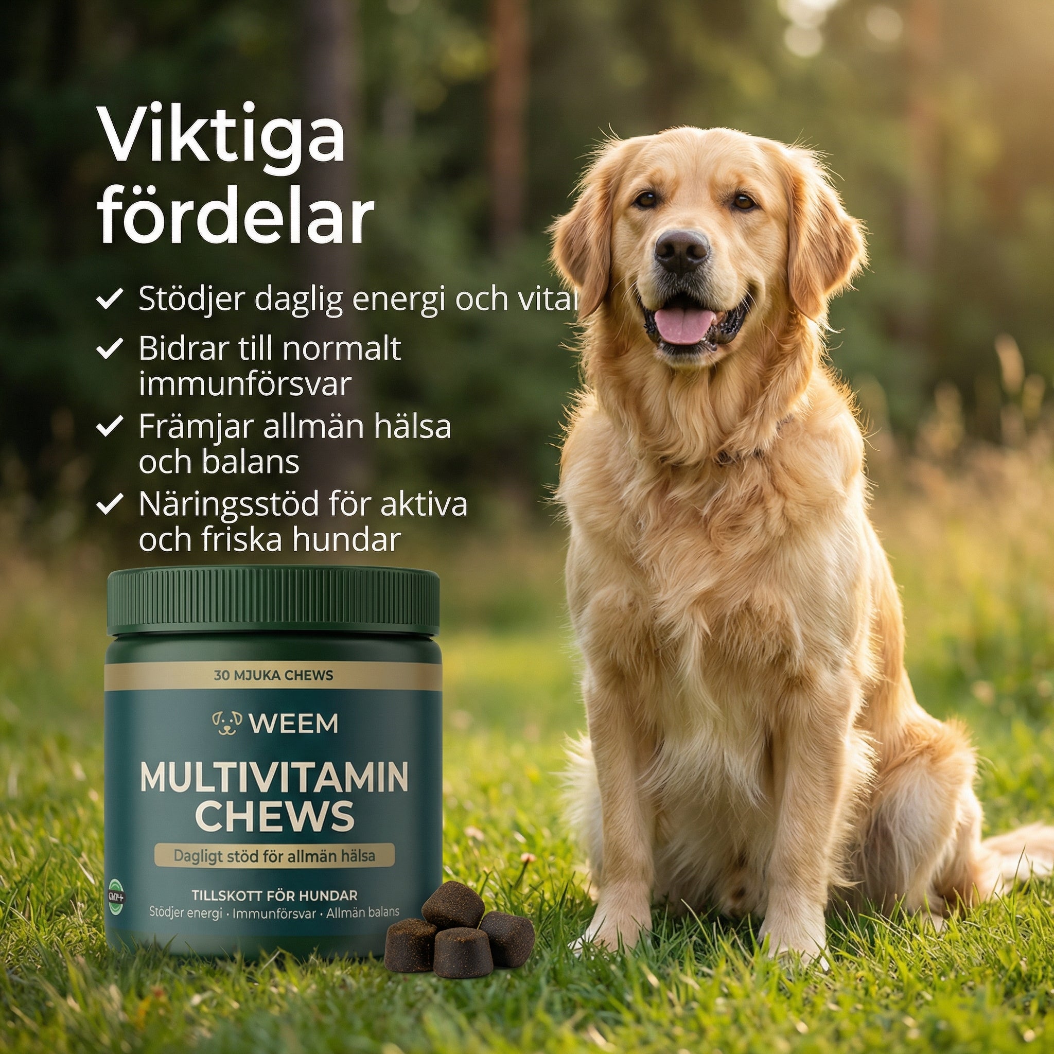 WEEM Multivitamin Chews — Dagligt stöd för energi, immunförsvar & vitalitet